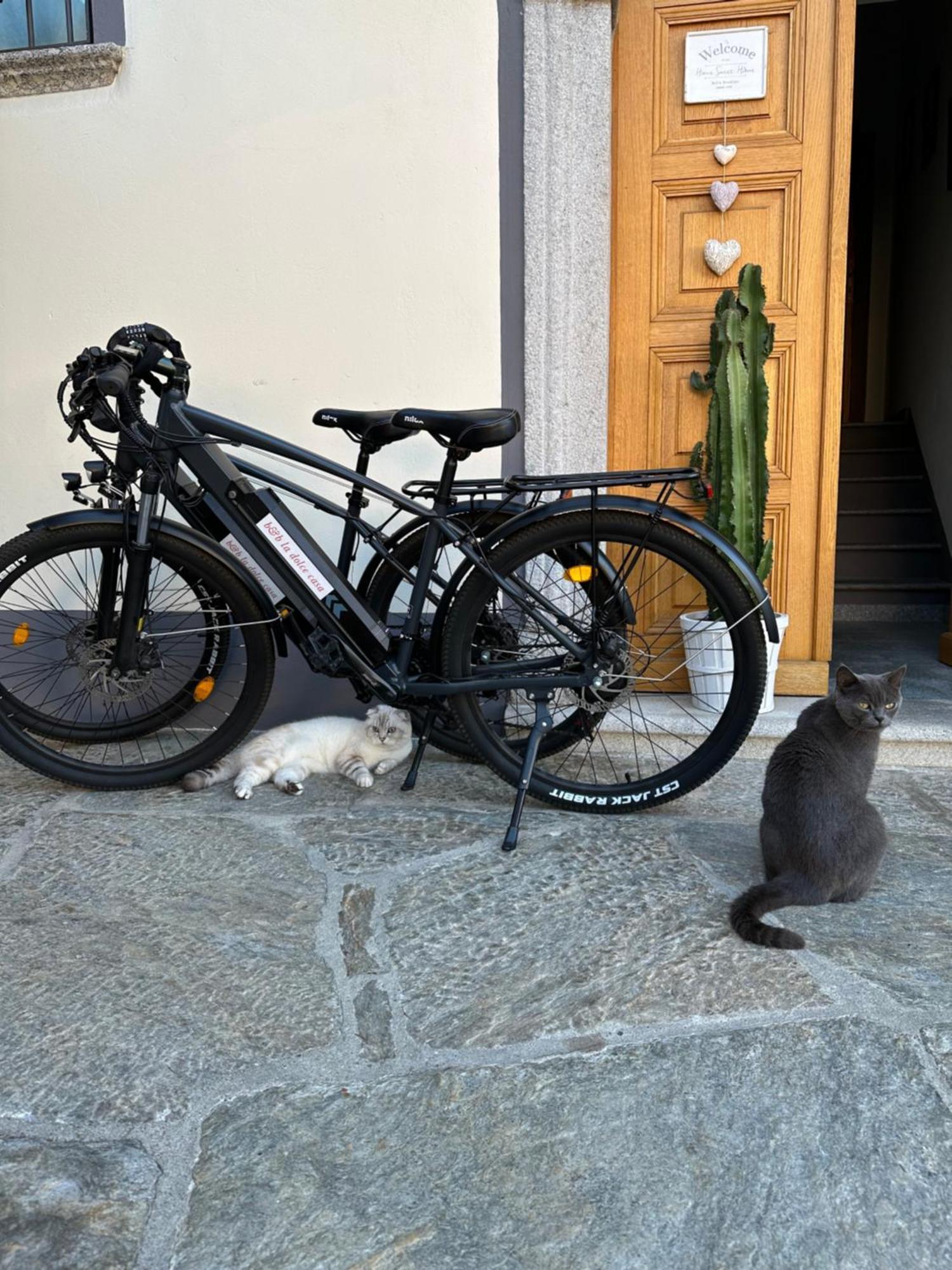 B&B La Dolce Casa Lago Di Como Cremia Екстериор снимка