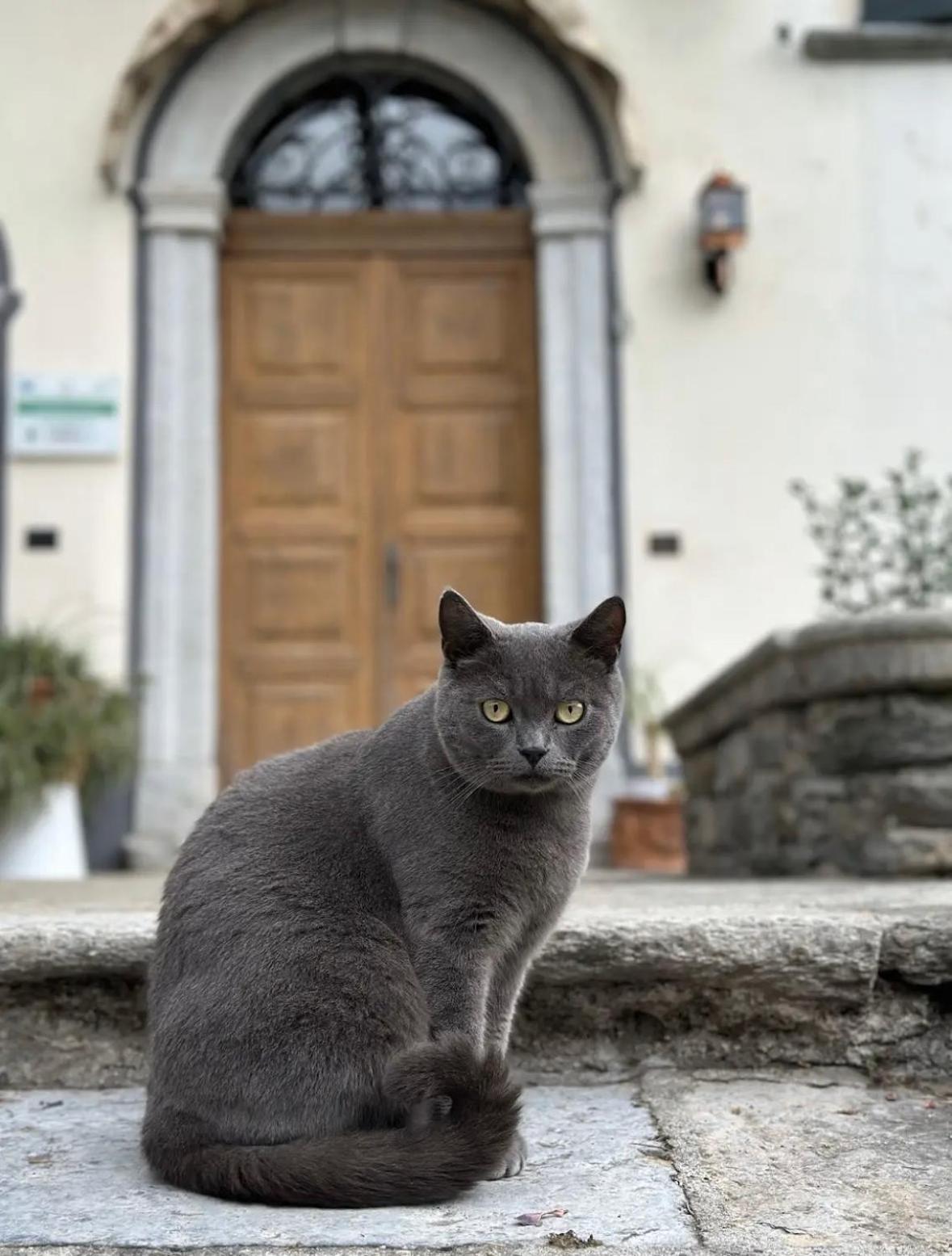 B&B La Dolce Casa Lago Di Como Cremia Екстериор снимка