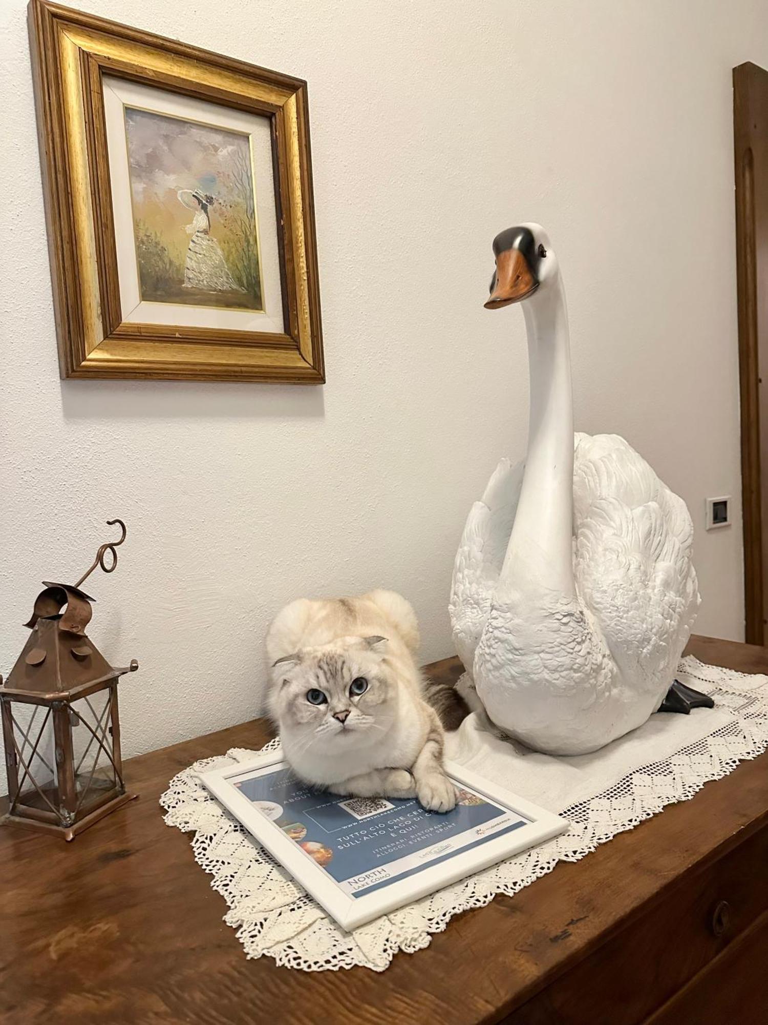 B&B La Dolce Casa Lago Di Como Cremia Екстериор снимка